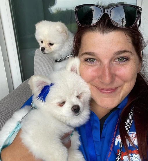 Hotel Pet Sitting Service Hotel Pet Sitting Service